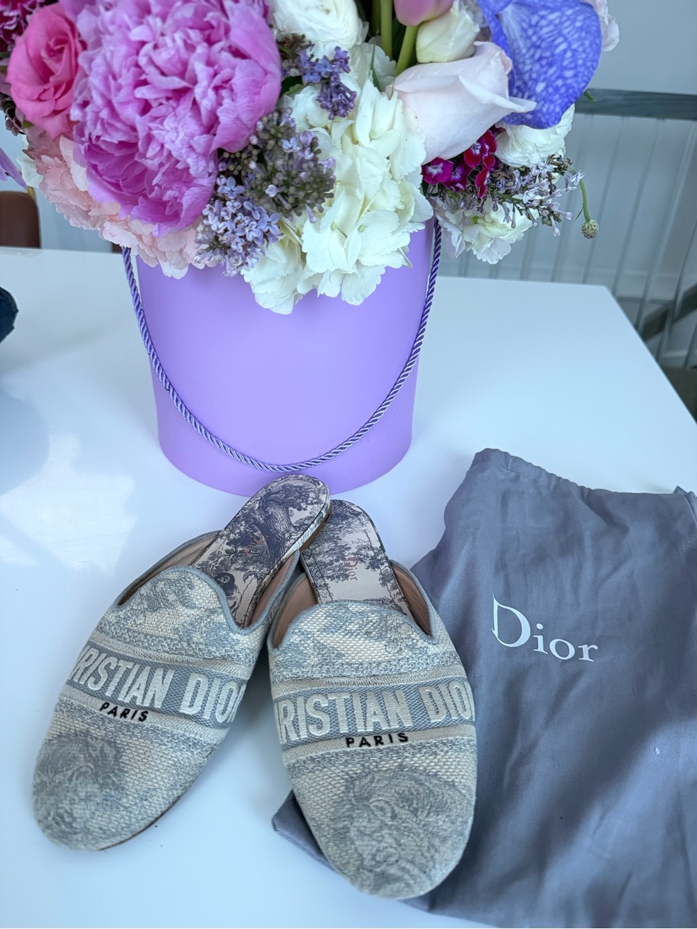 Christian Dior Canvas Logo Mules in Beige and Gray
